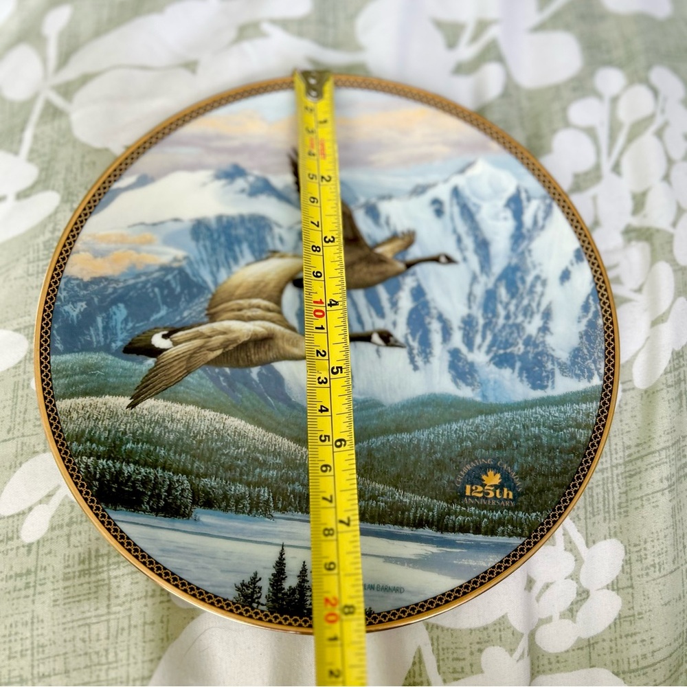 Vintage Wildlife Geese In Flight Mountains Scenery Vibrant Wall Hanging Plate - Picture 6 of 6